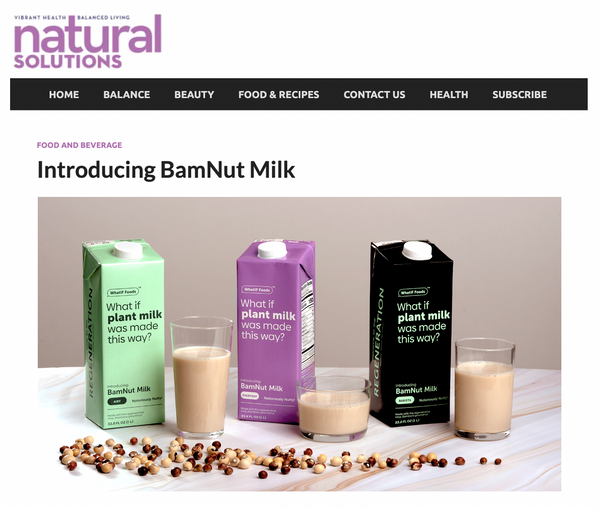 Introducing BamNut Milk